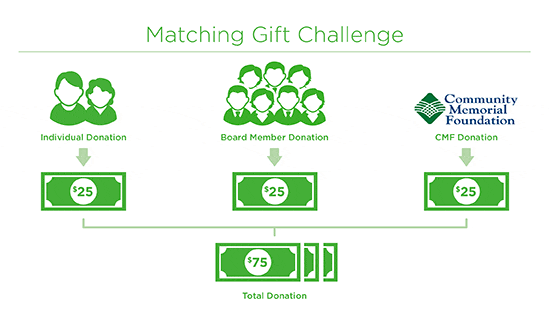 Delta Dental of Illinois Foundation Matching Gift Challenge