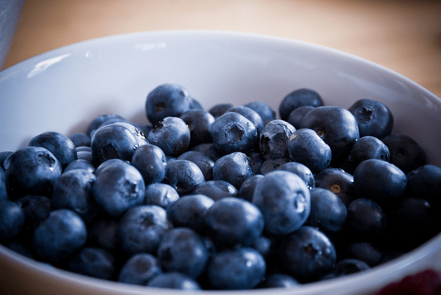 Blueberry Bites