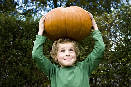 young white child outside holding a pumpkin on his head