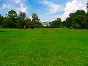 image of the United States White House